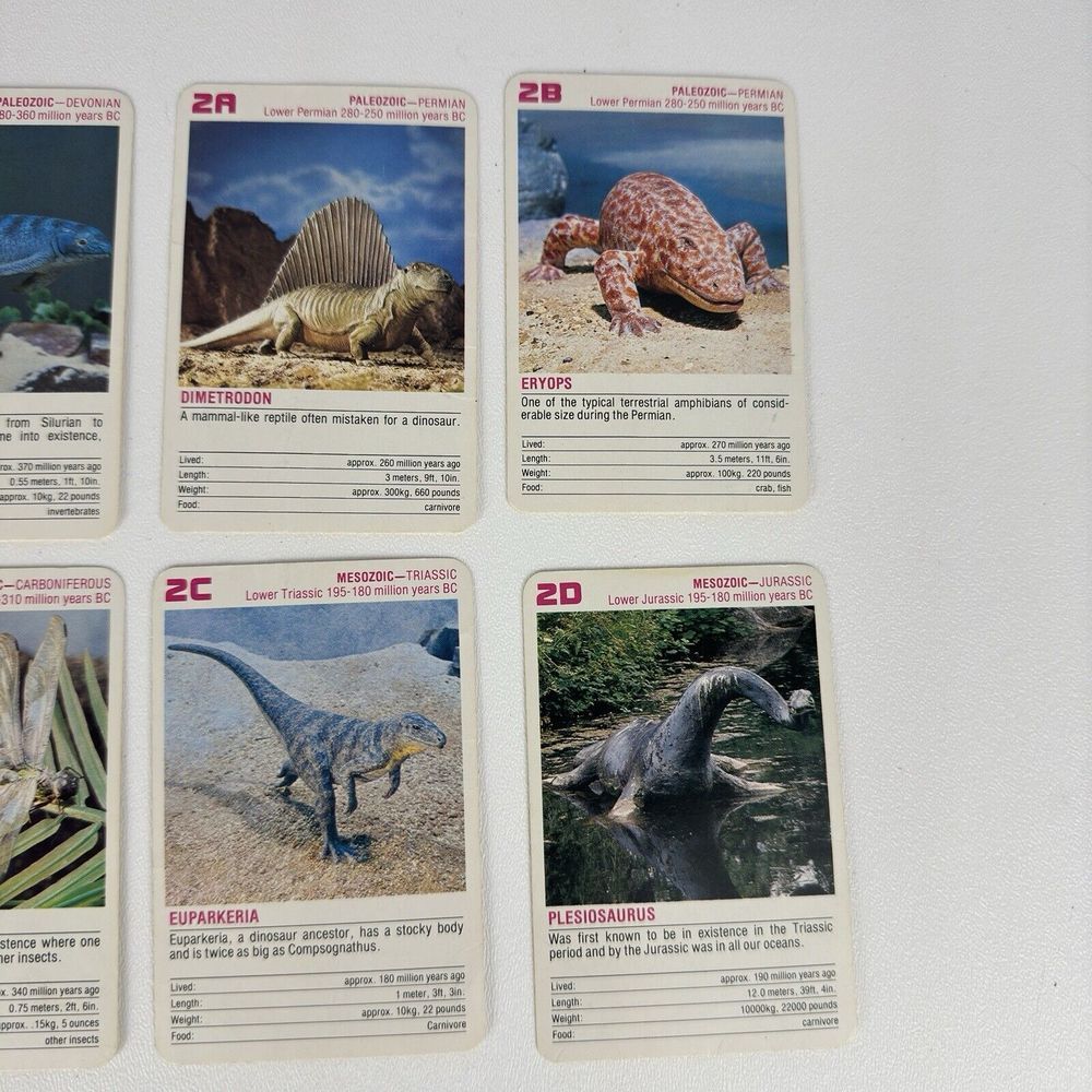 Vintage FX Schmid Animal Rummy Card Game Dinosaurs Prehistoric Animals COMPLETE - Picture 7 of 16
